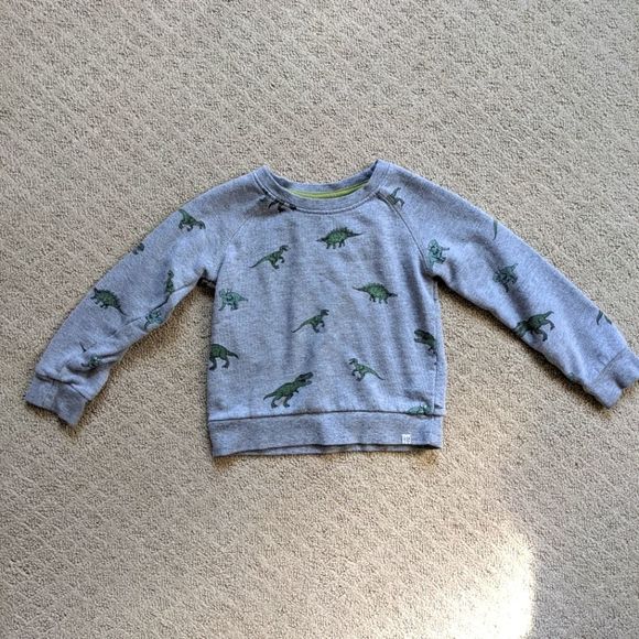 Dinosaur Sweatshirt - Picture 1 of 4